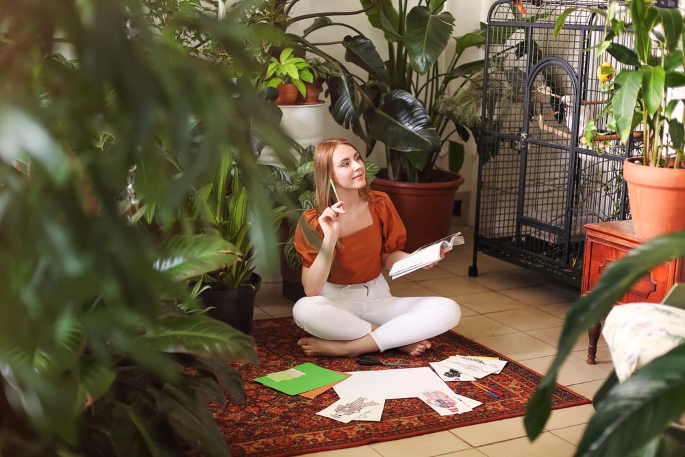 The magic of Feng Shui: Let plants bring positive energy